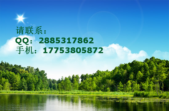 2024年11月5日 第4页