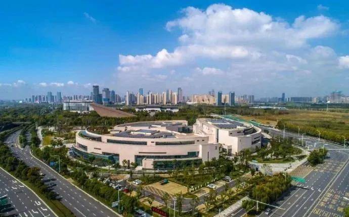 2024年11月6日 第31页