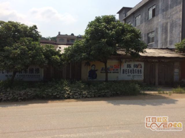 11月5日北流地皮转让最新动态及深度解析