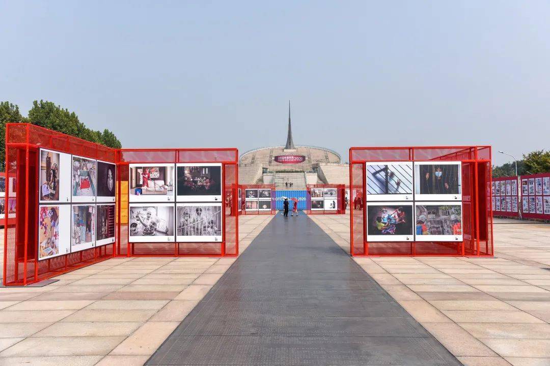 11月6日李小甘最新动态，多维度视角下的深度观点分析