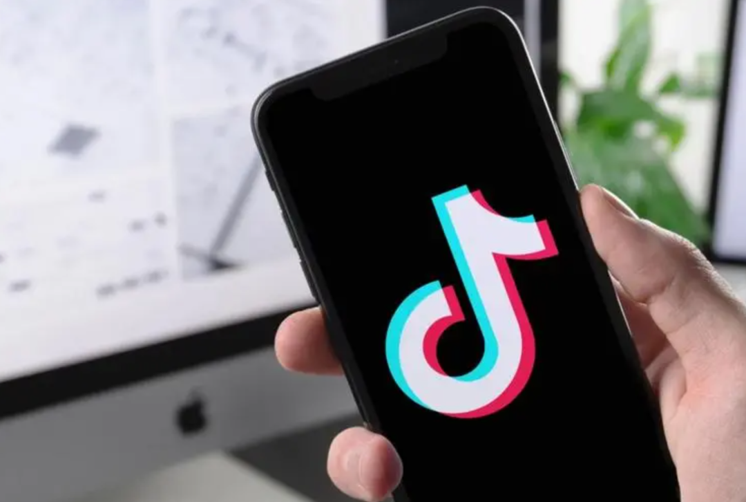 11月6日抖音官网最新版全面评测与介绍