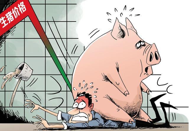 南方农村报漫画制作学习指南，从新手到进阶的详细步骤（最新漫画展示）