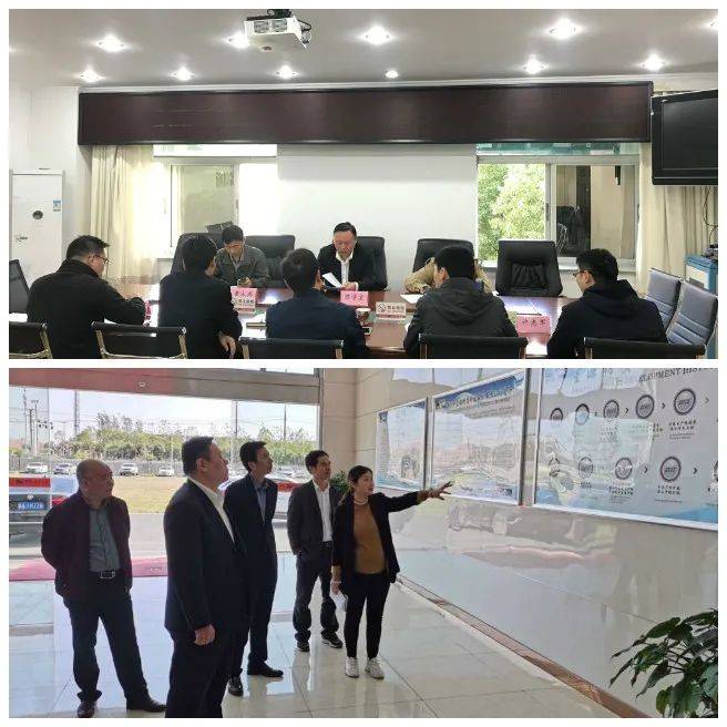 揭秘张羽熙，最新动态概览（11月6日更新）