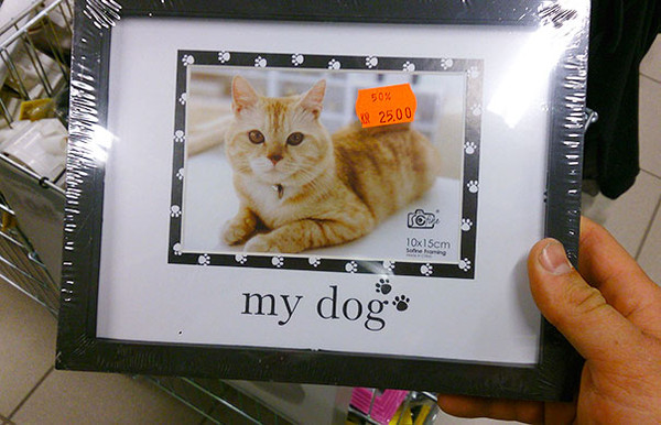 2024年11月7日 第20页