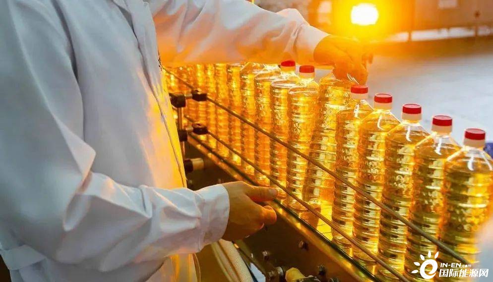 俄罗斯新政府，变革之翼，自信启航未来之路