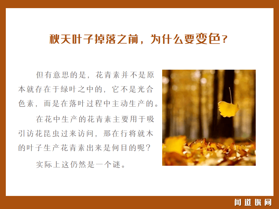 11月6日新稻香启示，米的变革与香醇之旅