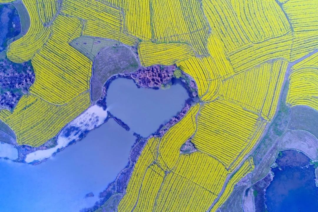 探索农村数字化转型新篇章，农民大黑最新版的崛起