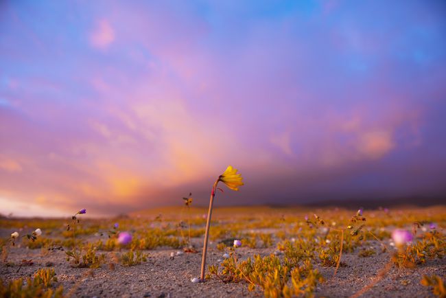 最新四季歌探秘之旅，自然美景的心灵之旅寻找内心的平和与宁静