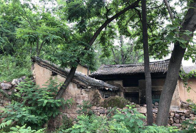 西安北大门梁村自然秘境之旅，探寻内心的宁静与微笑