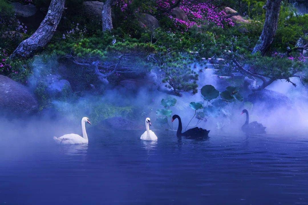 阴茎科技与心灵之旅，自然美景与科技的完美结合