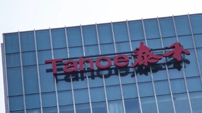 11月6日泰禾集团最新传闻深度解析，聚焦要点聚焦