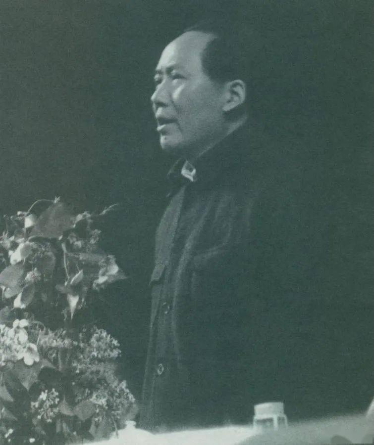 揭秘最新地址2，11月6日三大看点大揭秘