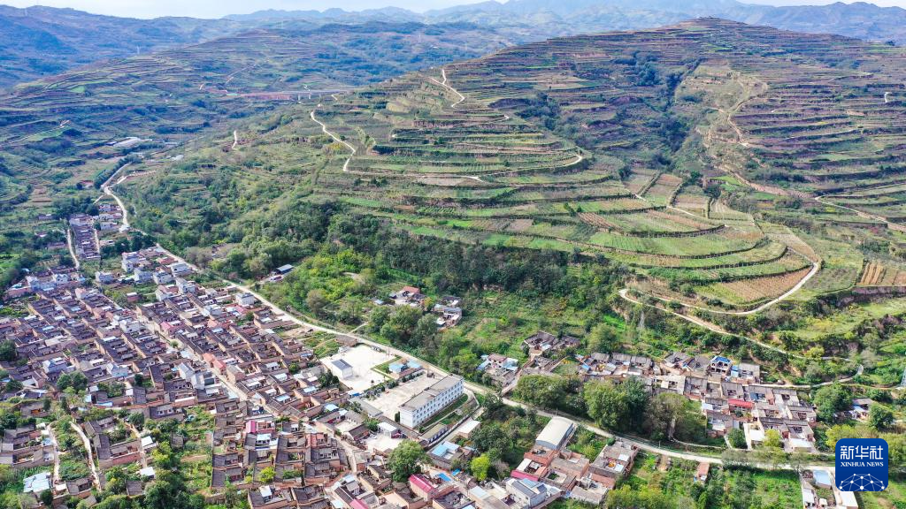 11月6日礼县贴吧最新资讯获取攻略，轻松掌握最新动态