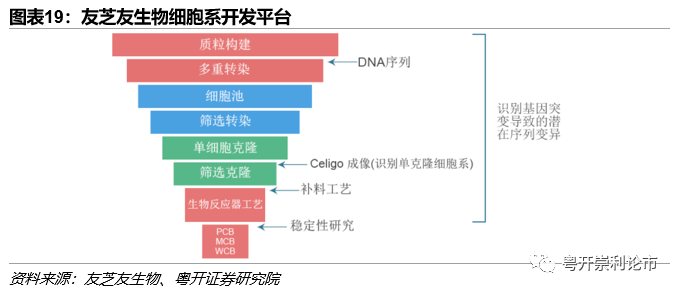 健能隆新篇章，变化催化成长，学习赋予力量与自信