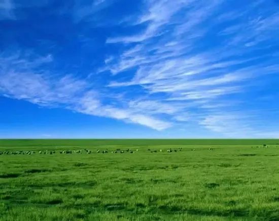 梅拉尼娅鼓舞之声，与自然美景的交融，探寻内心宁静的启程