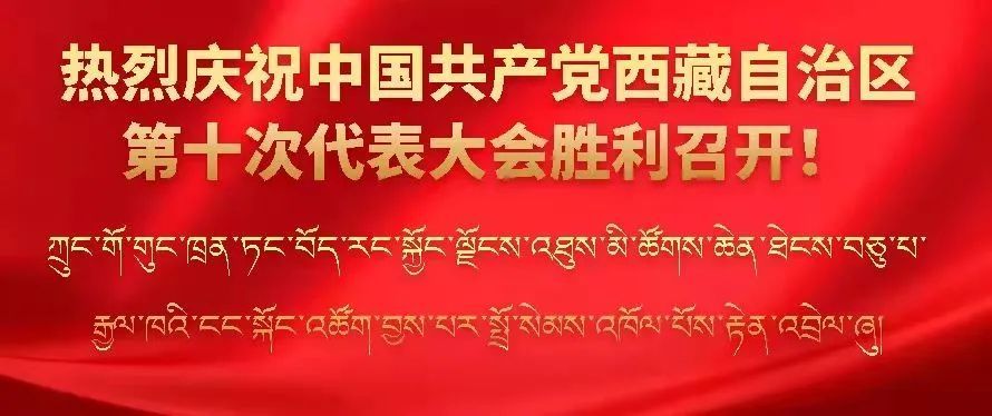 拉萨市幼儿园新篇章，幼教之光照亮未来，11月6日最新招聘启事