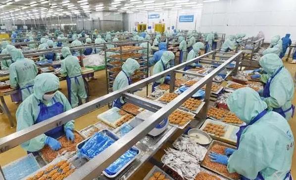 湛江虾厂新篇章，友情与梦想的双向奔赴启航于11月6日招聘日