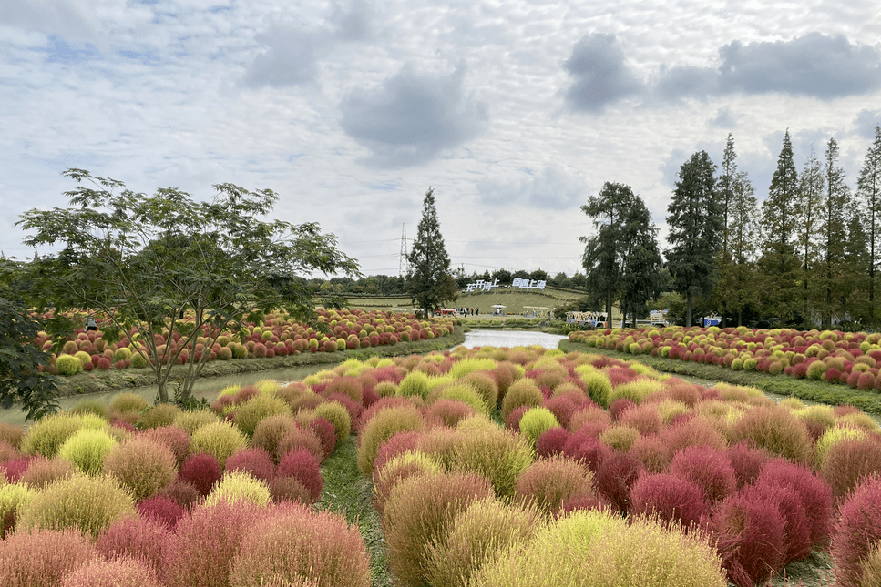 2024年11月10日 第33页