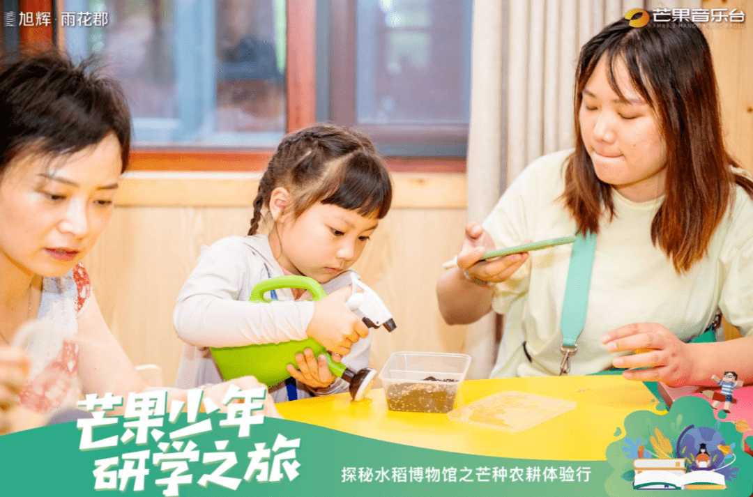 2024年11月10日 第32页