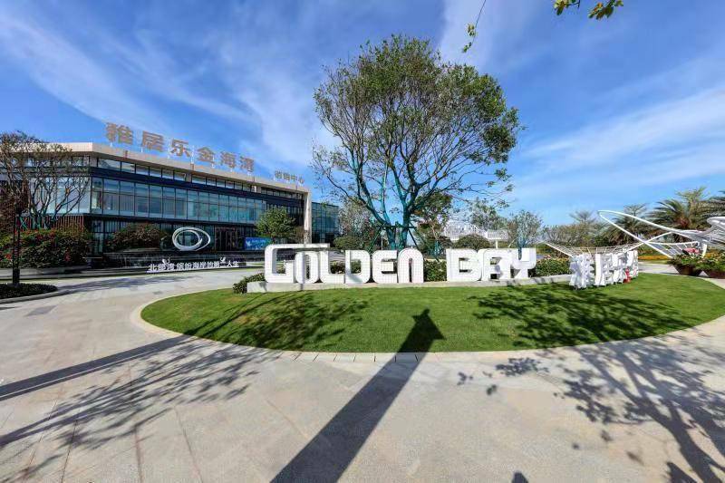 深度解析，久久鸭转让最新动态，特性详解与竞品对比，用户体验及目标用户群体分析