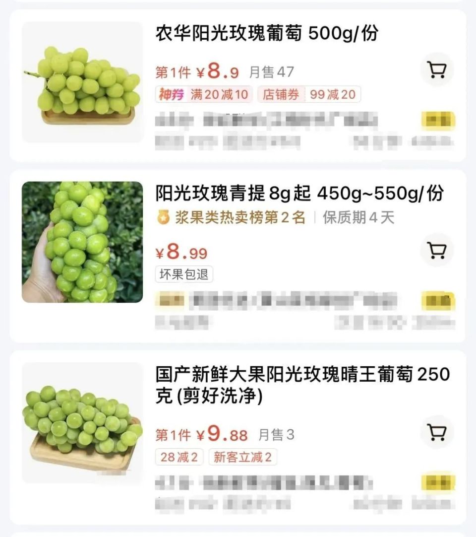 11月10日绿豆价格揭秘，历史走势与最新行情分析