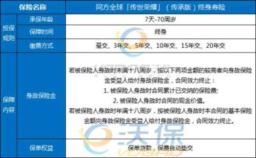 今年保险资讯全解析，入门、进阶与应用指南