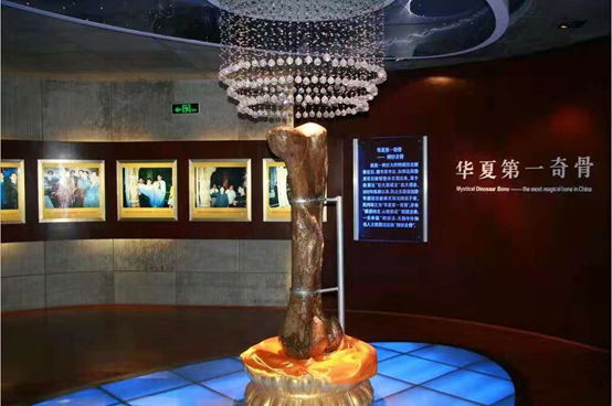 探寻六哲最新消息与深度洞察，历史上的11月10日揭秘日深度报道