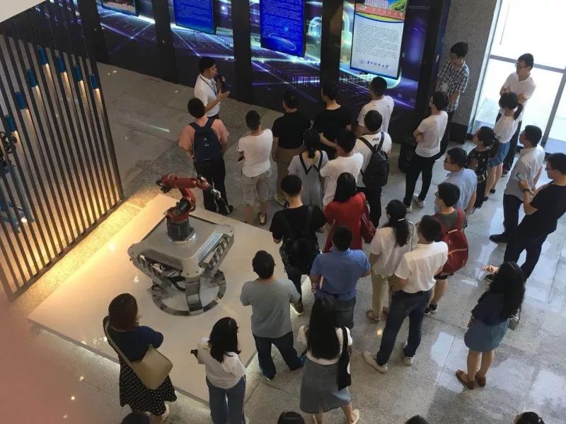 本周食盐改革进展回顾与深度剖析，各地最新动态与消息汇总