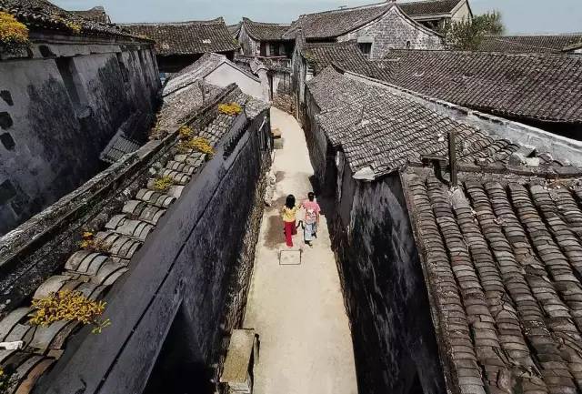 探秘美大集成灶历史，揭秘11月10日新款集成灶传奇之旅