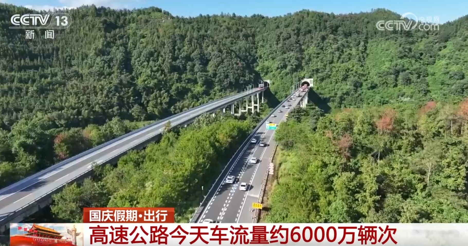 往年11月10日阜新林场改革最新动态，详解改革步骤与成果展示指南