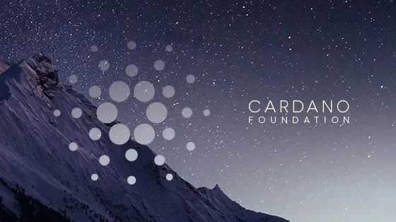 本月艾达币深度解析，最新动态、特性、体验、竞争态势与用户群体洞察