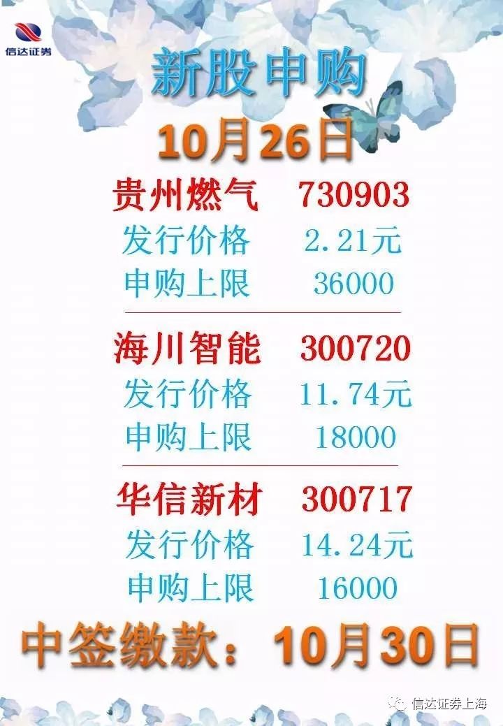 2024年桓台县招聘趋势与求职指南，最新招聘信息及未来发展展望