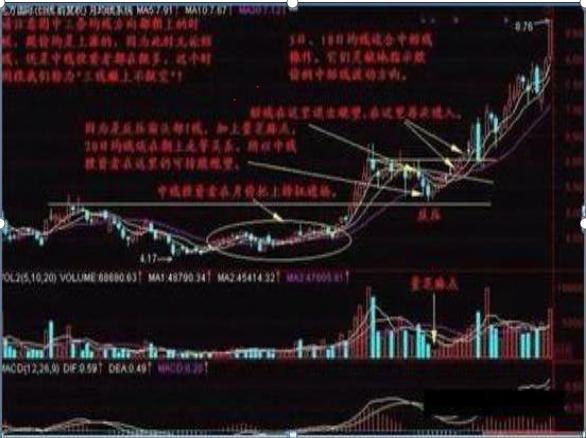 2024年11月11日 第42页