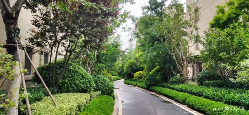 11月10日最新革命歌曲,时代旋律的新篇章