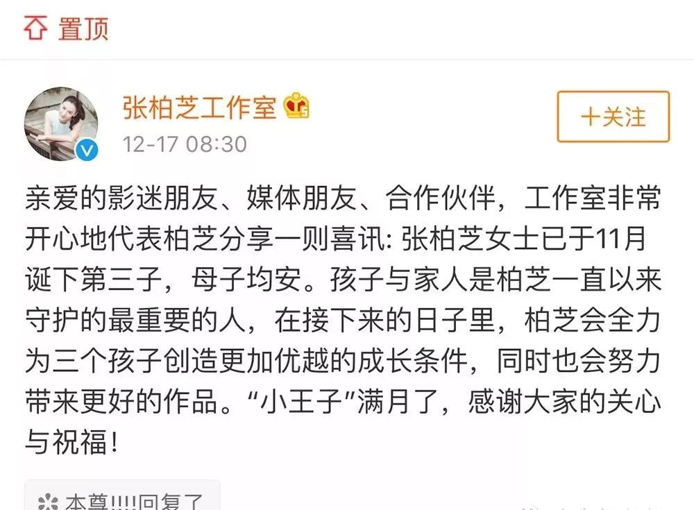 揭秘张柏芝往年11月10日的最新动态，生活与工作一览无余的独家报道