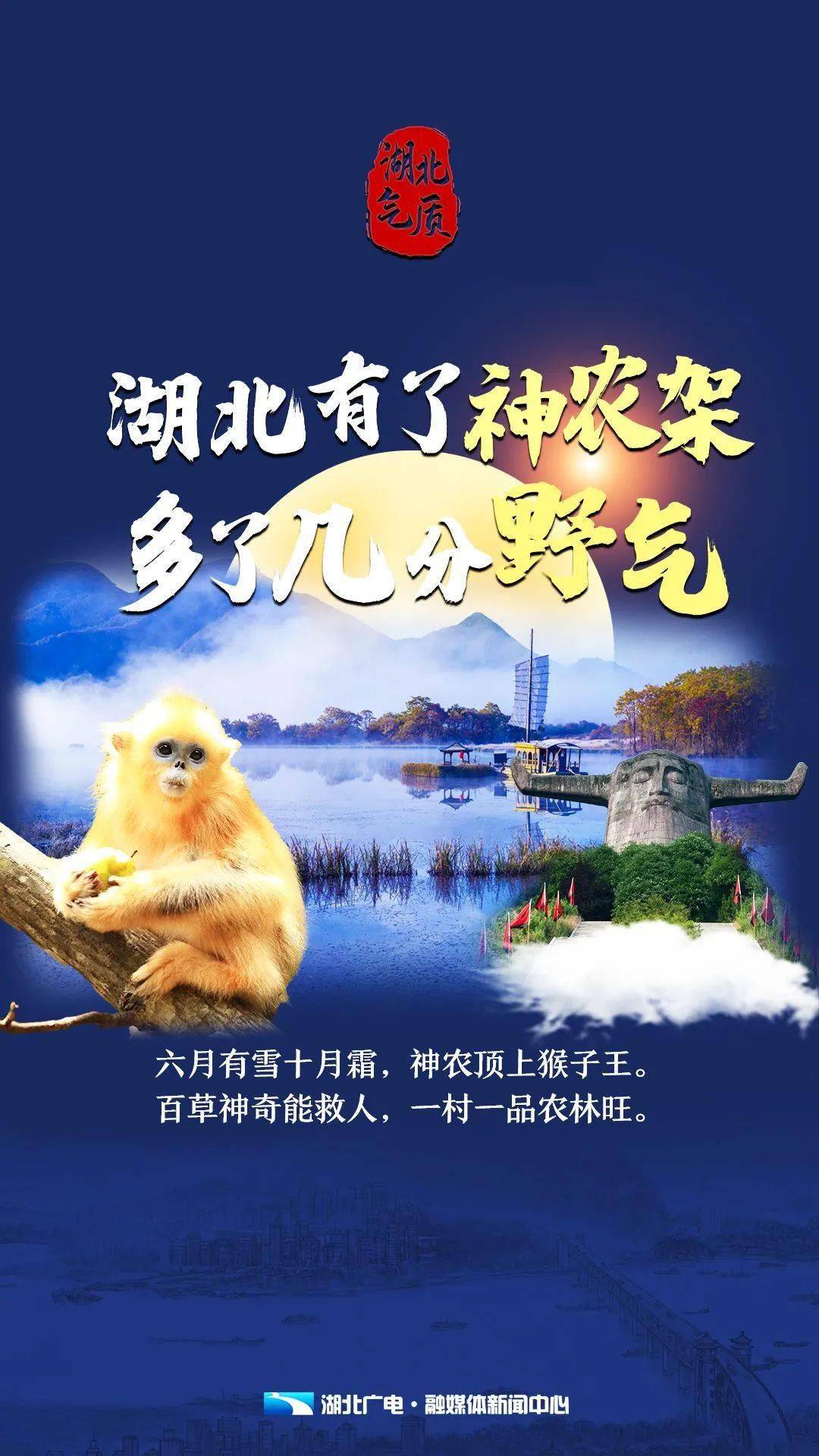 历史上的11月10日湖北小池新闻事件深度解析与观点阐述