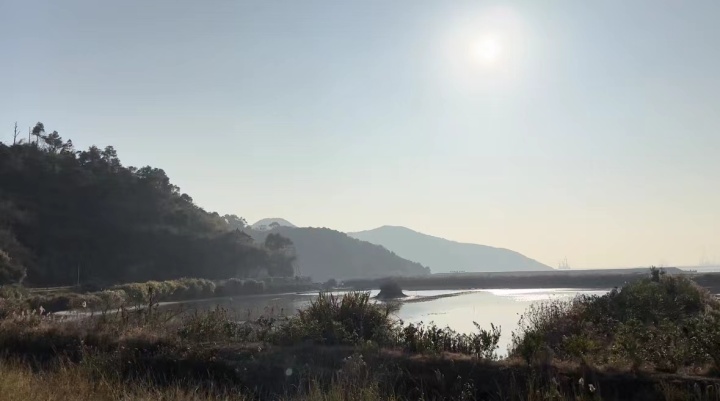 2024年11月11日 第21页