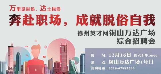 历年十一月十日徐州人才盛宴，最新招聘信息与招聘盛景深度解析