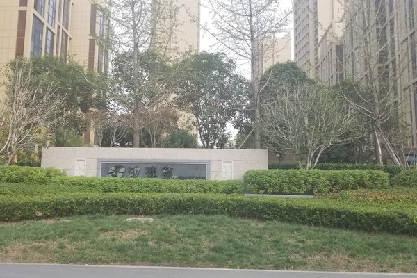 泾渭分明半岛最新动态，自然美景探索之旅，寻求内心平和与宁静