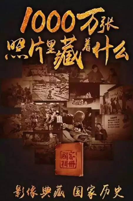 本月国家记忆纪录片深度解析，国家记忆档案，本月焦点纪录片重磅来袭