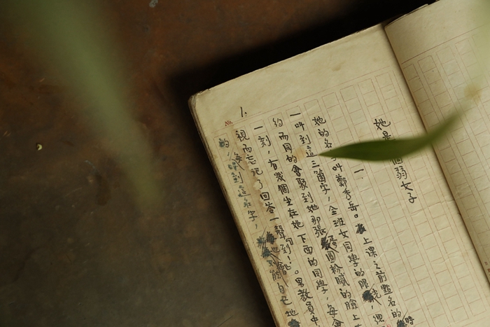 旧月安好，时代印记下的新篇章（11月10日最新作品）