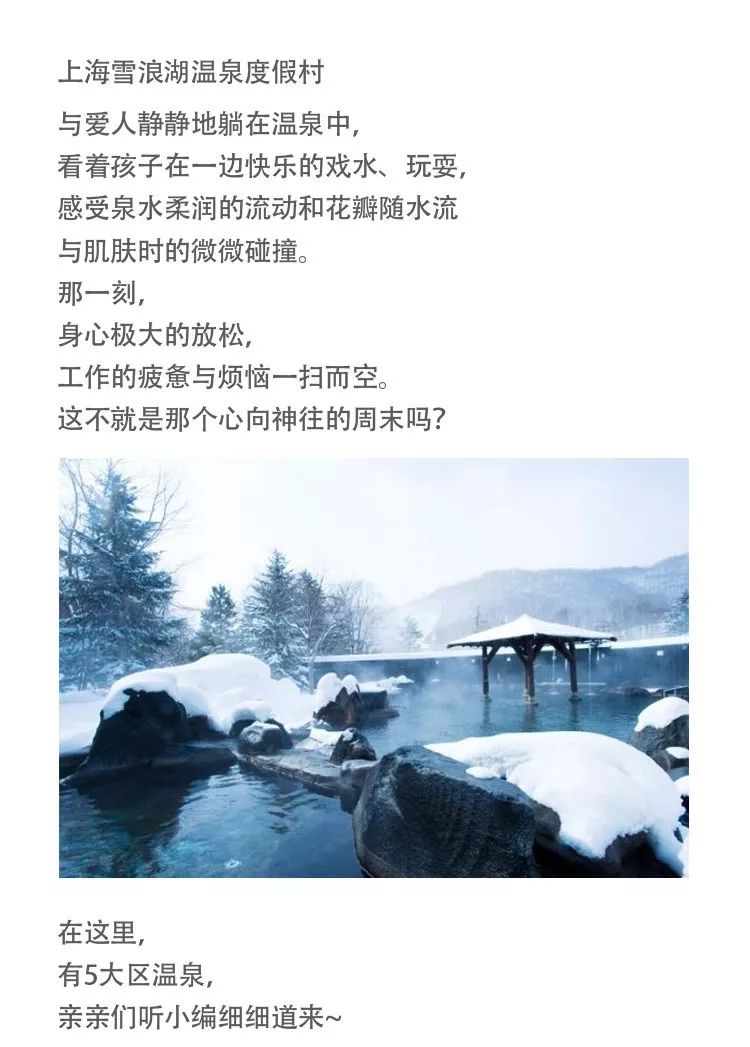 木棉湾旧改新貌,自然美景的心灵之旅最新动态揭秘