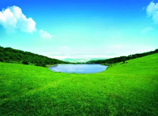 分照常发 第71页