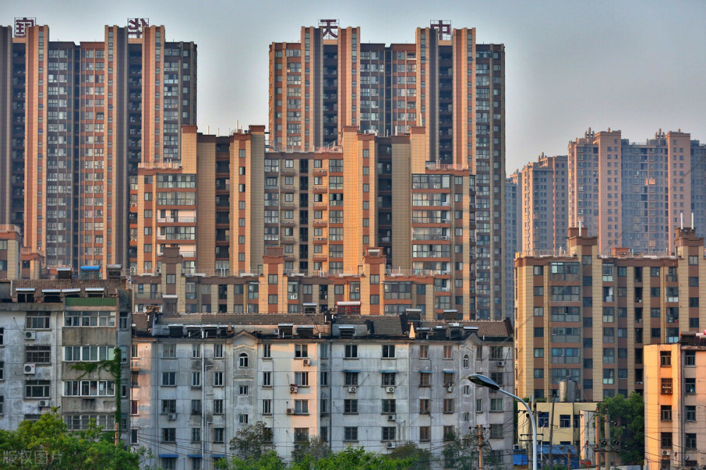 2024年11月12日 第22页