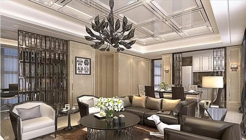 金贝猫最新动态，创新之路与时代地位揭秘