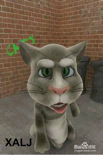 会说话的汤姆猫最新版全面解析与介绍