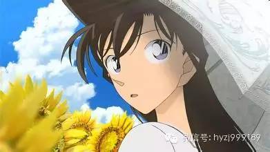 小兰开发区历年11月10日最新招聘深度解析与介绍