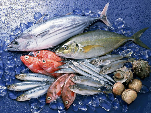 今年段冉最新探秘，小巷隐藏的特色小店独家盘点