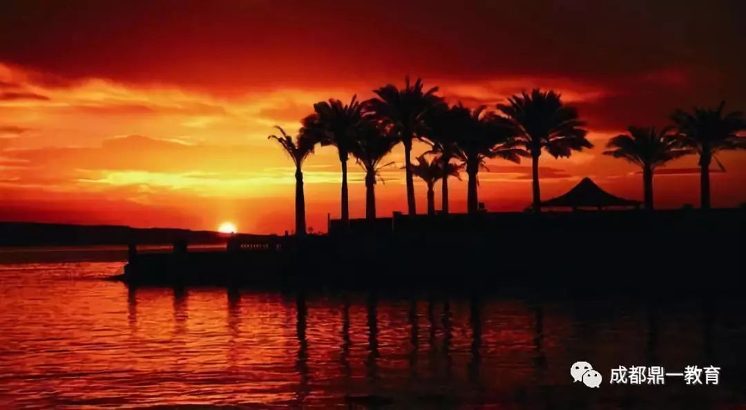 探秘爱情秘密基地，2024年11月10日的浪漫之旅与小巷深处的爱情故事