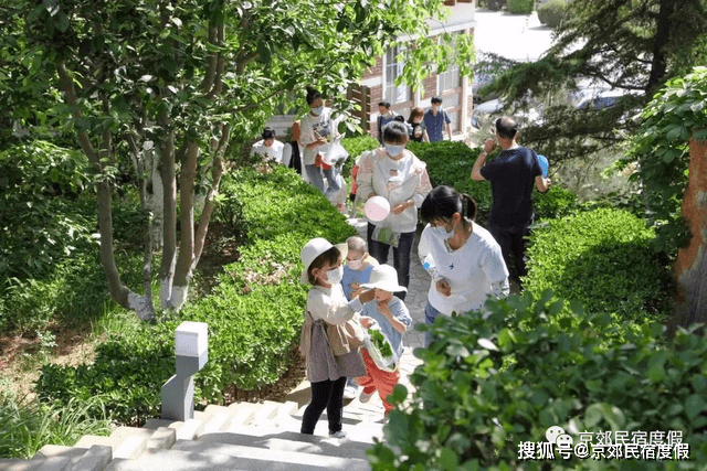 韩服最新活动，心灵之旅，探寻自然美景的乐趣与宁静